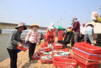 The government continues to provide emergency assistance to people in Ha Tinh, Quang Binh, Quang Tri and Thua Thien Hue affected by the phenomenon of marine deaths abnormalities.