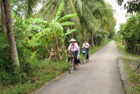 Binh Dai rural appearance is increasingly new