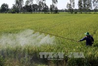 Ngăn chặn gia tăng ô nhiễm môi trường trong nông nghiệp