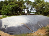Waste of large biogas reactors