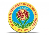 Logo LCASP website