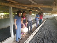 Nam Định: Áp dụng nhiều giải pháp xử lý chất thải chăn nuôi