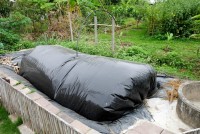 Không xây hầm biogas để đối phó