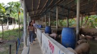 Hoai An completed the plan to support people building biogas digester