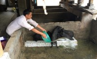 Dự án LCASP tại Lào Cai: Đã lắp đặt được 2.490 công trình biogas