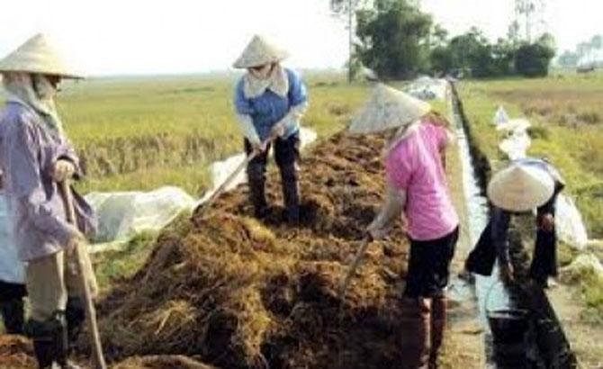 Hướng dẫn gần 1 nghìn hộ dân cách ủ phân compost từ phụ phẩm chăn nuôi