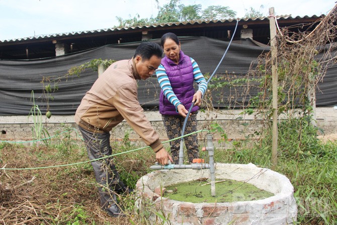 Mở rộng quy mô chăn nuôi nhờ hầm khí biogas